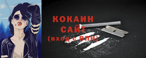 2c-b Снежногорск