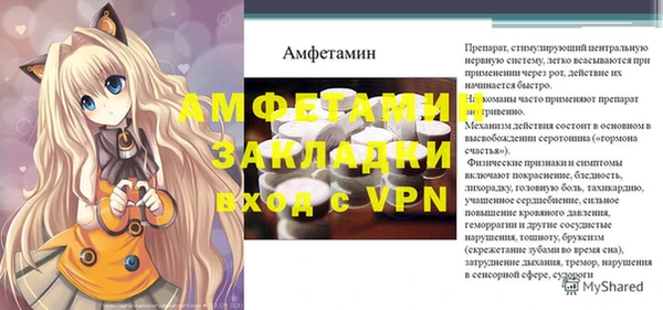 2c-b Снежногорск